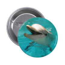 Smiling Dolphin Pinback Button