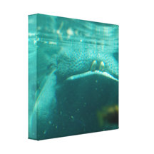 Smiling Hippo  Canvas Print