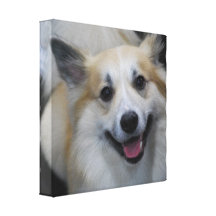 Smiling Icelandic Sheepdog Canvas Print