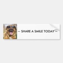 Smiling labrador Bumper sticker