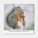 Smiling Squirrel Eating Pine Cone Magnets