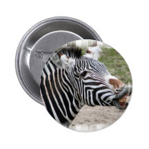 Smiling Zebra Button