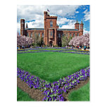 Smithsonian Castle and Haupt Garden Post Cards