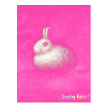 Smoking Rabbit Postcard