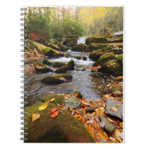 Smoky mountain autumn waterfall in tremont note books