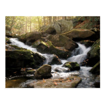Smoky Mountain Waterfall II Post Card