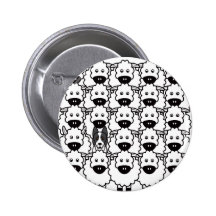 Smooth-Coated Border Collie in the Sheep Buttons