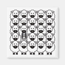 Smooth-Coated Border Collie in the Sheep Fridge Magnets