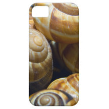 snails iPhone 5 cover