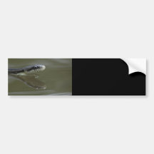 snake bumper stickers