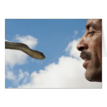 Snake Charmer Cards