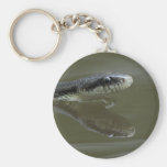 snake keychains