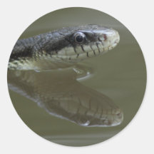 snake round sticker