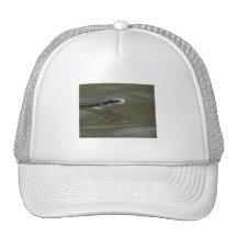 snake trucker hat