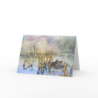 Snipe on a cold and frosty morning fine art card card