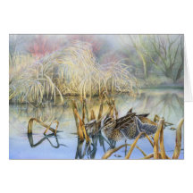 Snipe on a cold and frosty morning fine art card