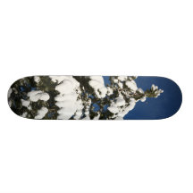 snow and sun skateboard deck