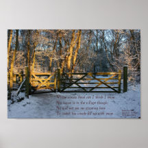 snow and sunlight poster