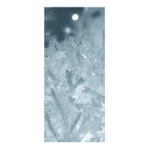 Snow balls 2 rack card design
