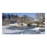 Snow Bridge and Ice Central Park Custom Photo Card