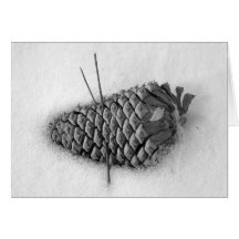 Snow Cone Greeting Card