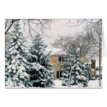 snow covered trees cards