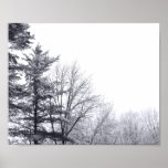 Snow-covered Trees: Horizontal Print