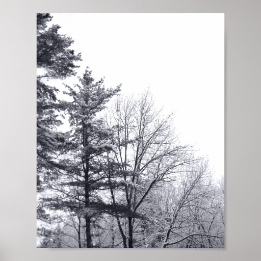 Snow-covered Trees: Vertical Print