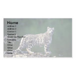 Snow Leopard beside river Business Card Templates