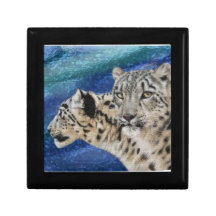 Snow Leopard Habitat Gift Box