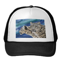 Snow Leopard Habitat Hat