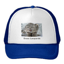 Snow Leopard Hat