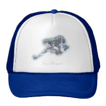 Snow Leopards Hat