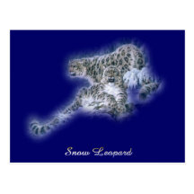 Snow Leopards Post Card