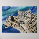 Snow Leopards Print