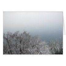 Snow on Branches Greeting Card