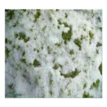 Snow on Grass Photo Print
