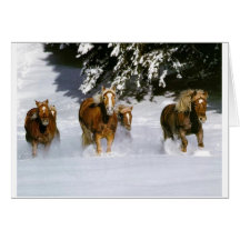 Snow Ponies Greeting Card