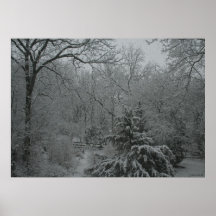 Snow Storm Posters