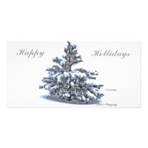 snow tree, Happy, Hollidays Card Photo Card