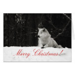 Snow Wolf Christmas Card