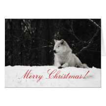 Snow Wolf Christmas Card