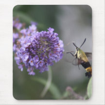 Snowberry Moth Mouse Pad