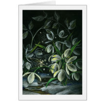 Snowdrops at Night Card