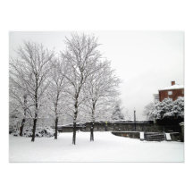 Snowfall in Boston Photo
