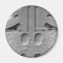 Snowflake Magnification Series Refrigerator Magnets