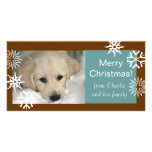 Snowflakes Dog Christmas Photo Cards Brown Blue