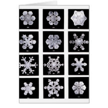 Snowflakes Greeting Cards
