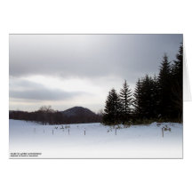 Snowland II Greeting Card