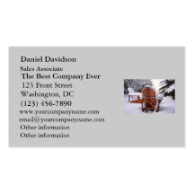Snowy Adirondack Chairs in Winter Photo Business Card Template